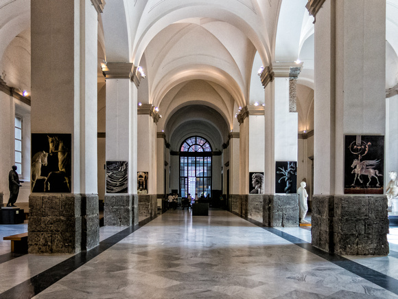 National History Museum of Naples