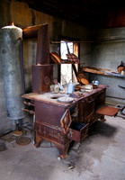 2009 Photo