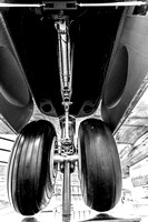 _JAN5464-Edit